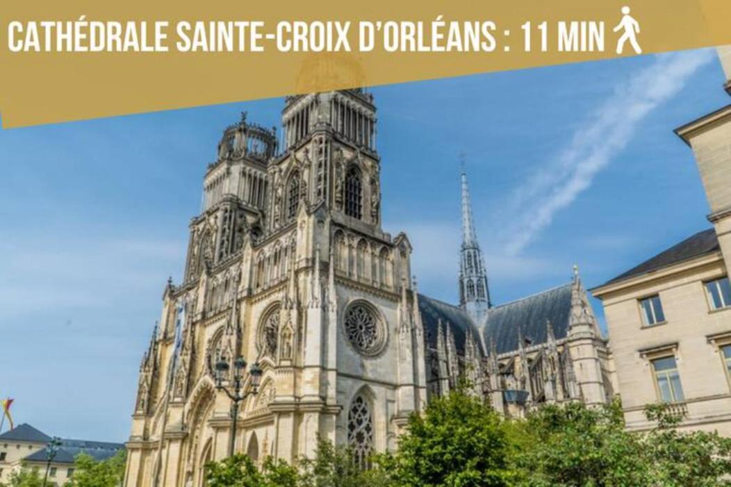 Somptueux Studio Hyper Centre Avec Wifi Leilighet Orléans Eksteriør bilde