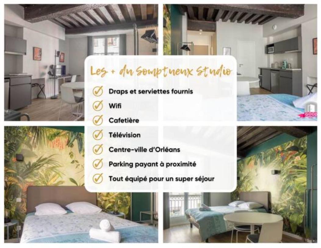 Somptueux Studio Hyper Centre Avec Wifi Leilighet Orléans Eksteriør bilde